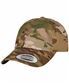 Multicam
